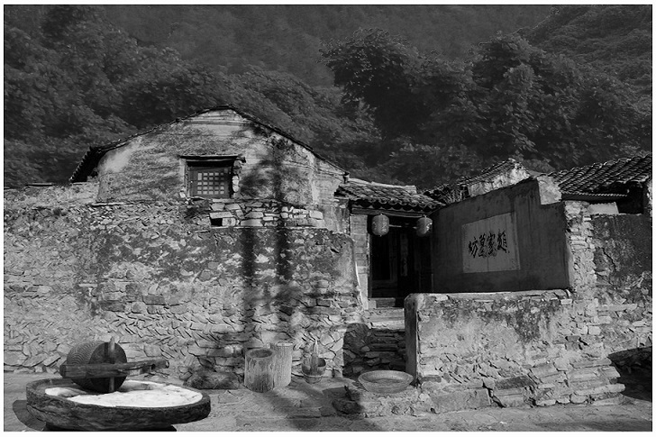 1744956483329834.jpg 2.jpg