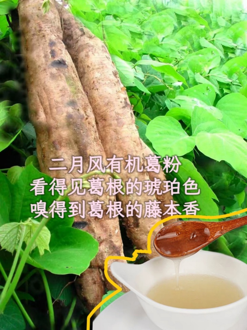 二月風(fēng)有機(jī)葛粉，看得見(jiàn)葛根的琥珀色，嗅得到葛根的藤本香_800.jpg