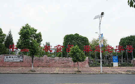 當(dāng)定制葛粉時，我們真正在選擇什么？