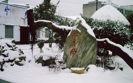 二月風致老友：一碗葛根粉的牽掛，農(nóng)博會上的重逢之約二月風盼老友：農(nóng)博會上，再續(xù)葛粉情緣