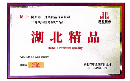 以善為帆，以質為舵 —— 二月風踐行雷鋒精神，傳遞時代溫暖